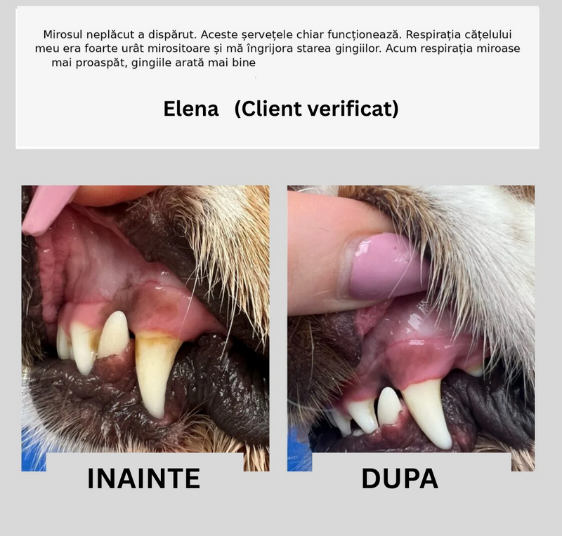 Șervețele pentru Igiena Dentară Câini și Pisici - DentiPaw (50 bucati)