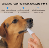 Șervețele pentru Igiena Dentară Câini și Pisici - DentiPaw (50 bucati)