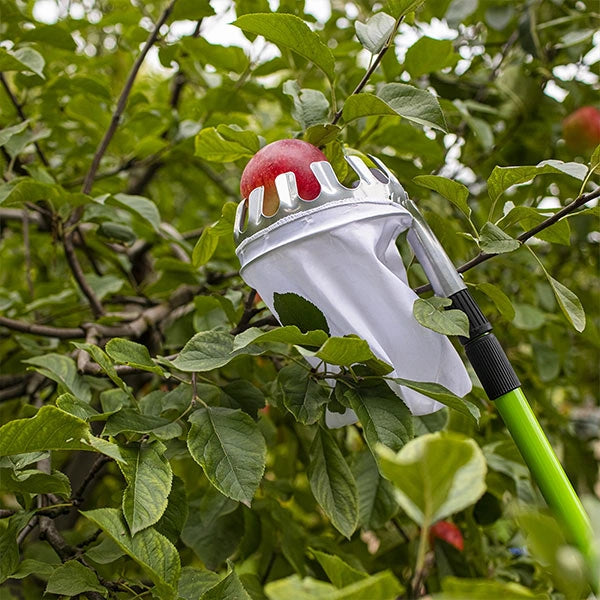 Culegător de fructe pentru grădină și livadă - FruitPick